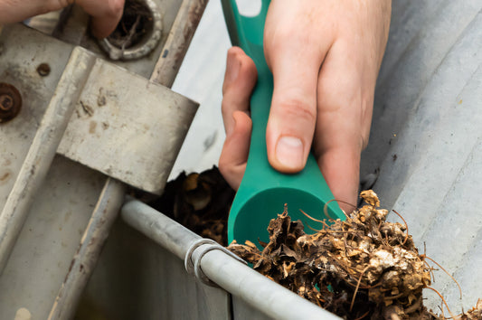 Your Autumn Garden Checklist to Prepare Now for Winter