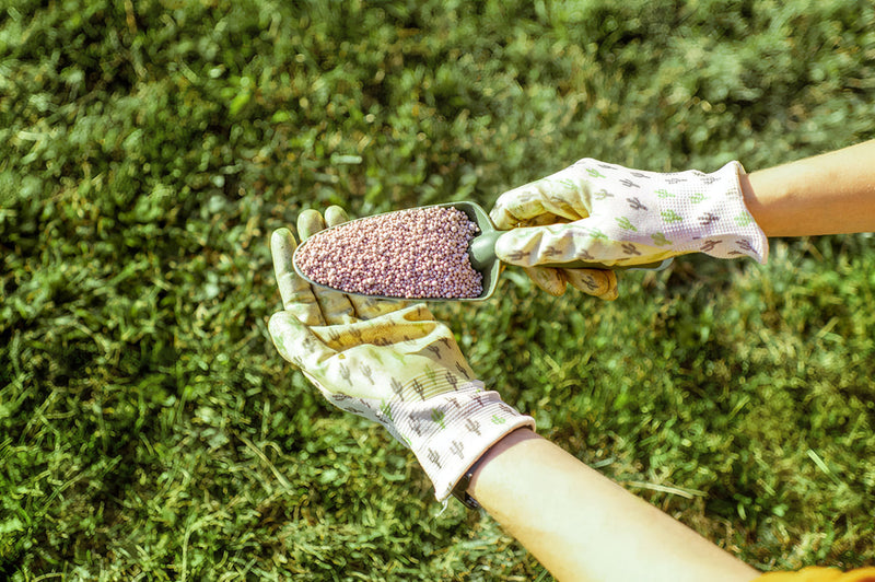 The best time to fertilise your lawn