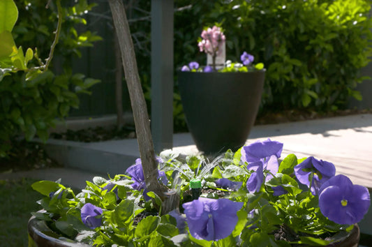 Looking for self watering pots? Try this first