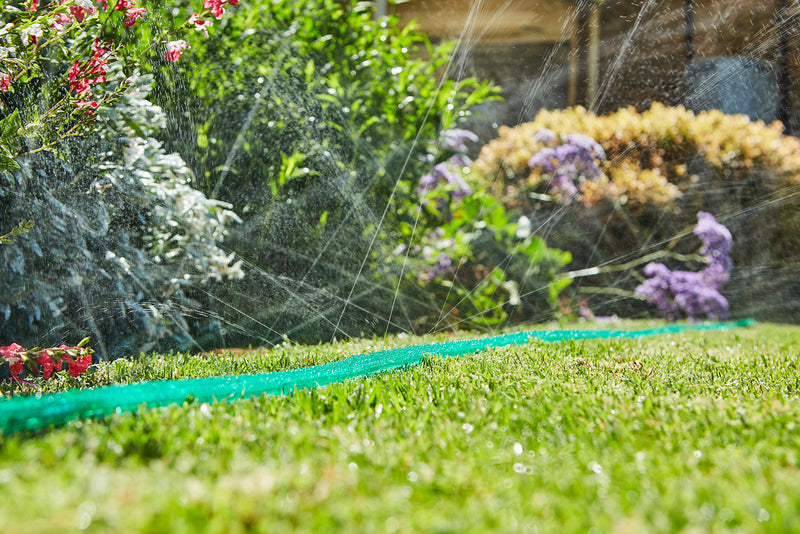 How to make your garden (more) water efficient this summer