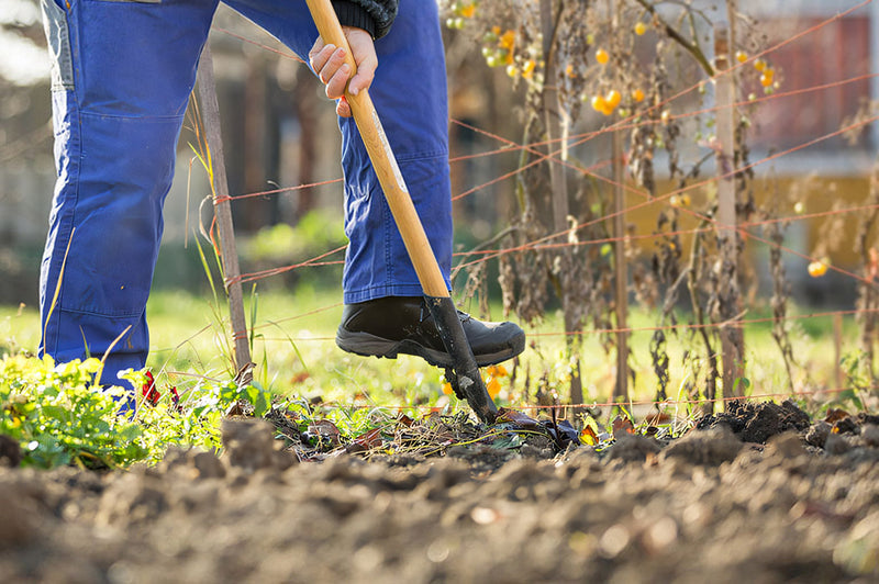 Winter winning gardening tips