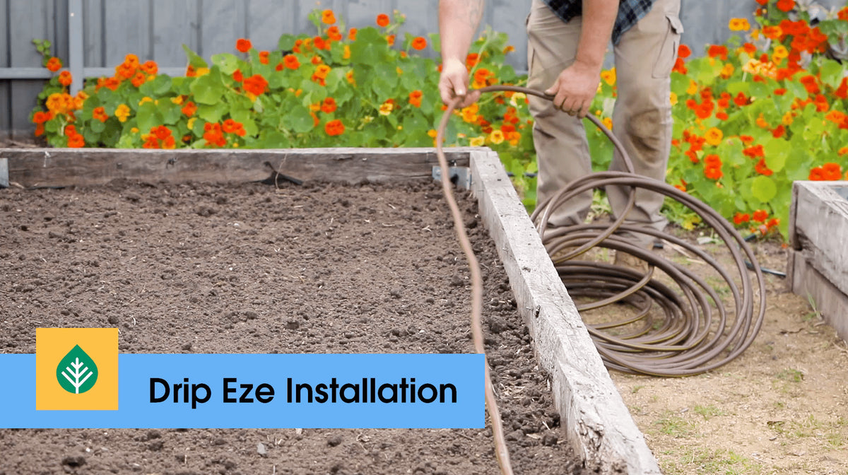 Drip Eze® installation in your veggie bed