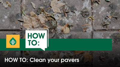 How to clean your pavers