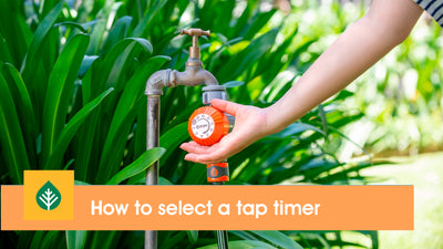 How to select your tap timer