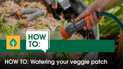 How to water your veggie patch