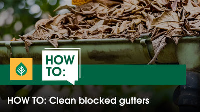 Your gutters overflowing with leaves?
