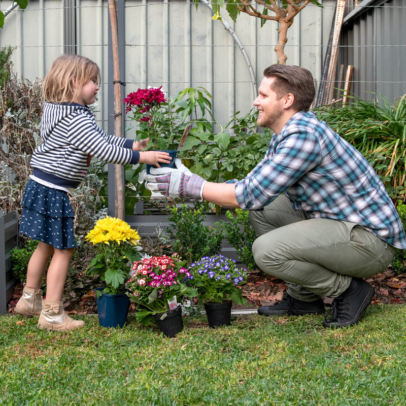 What to Plant in Winter for a Thriving Australian Garden