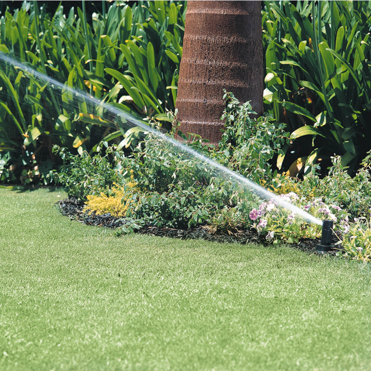 Pop-Up Sprinklers 101: Layout, Spacing & Setup – Gardening with Pope