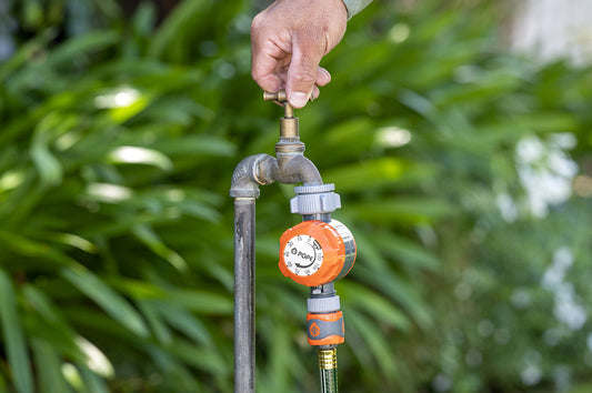 How to automate your watering