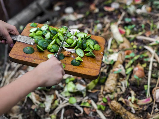 A beginners guide on how to make compost at home