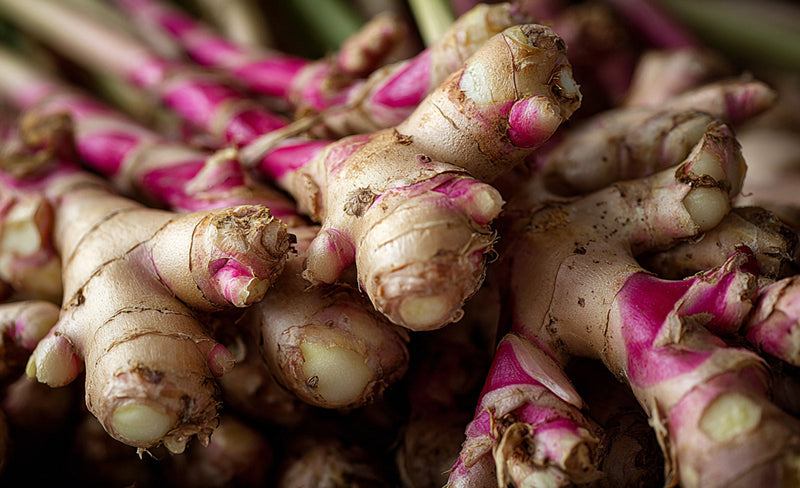 How to grow ginger at home