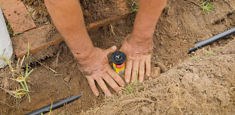 The best irrigation tips and tricks for your garden