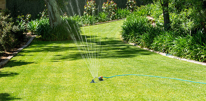 How to take care of your lawn