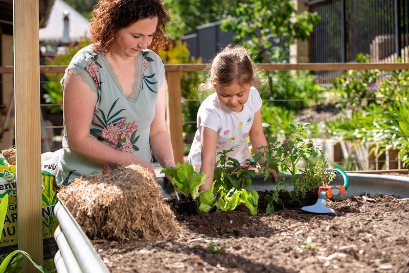 Starting your veggie garden