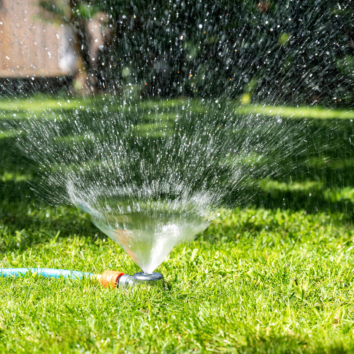 Irrigation System Stakes and Risers - Gardening with Pope