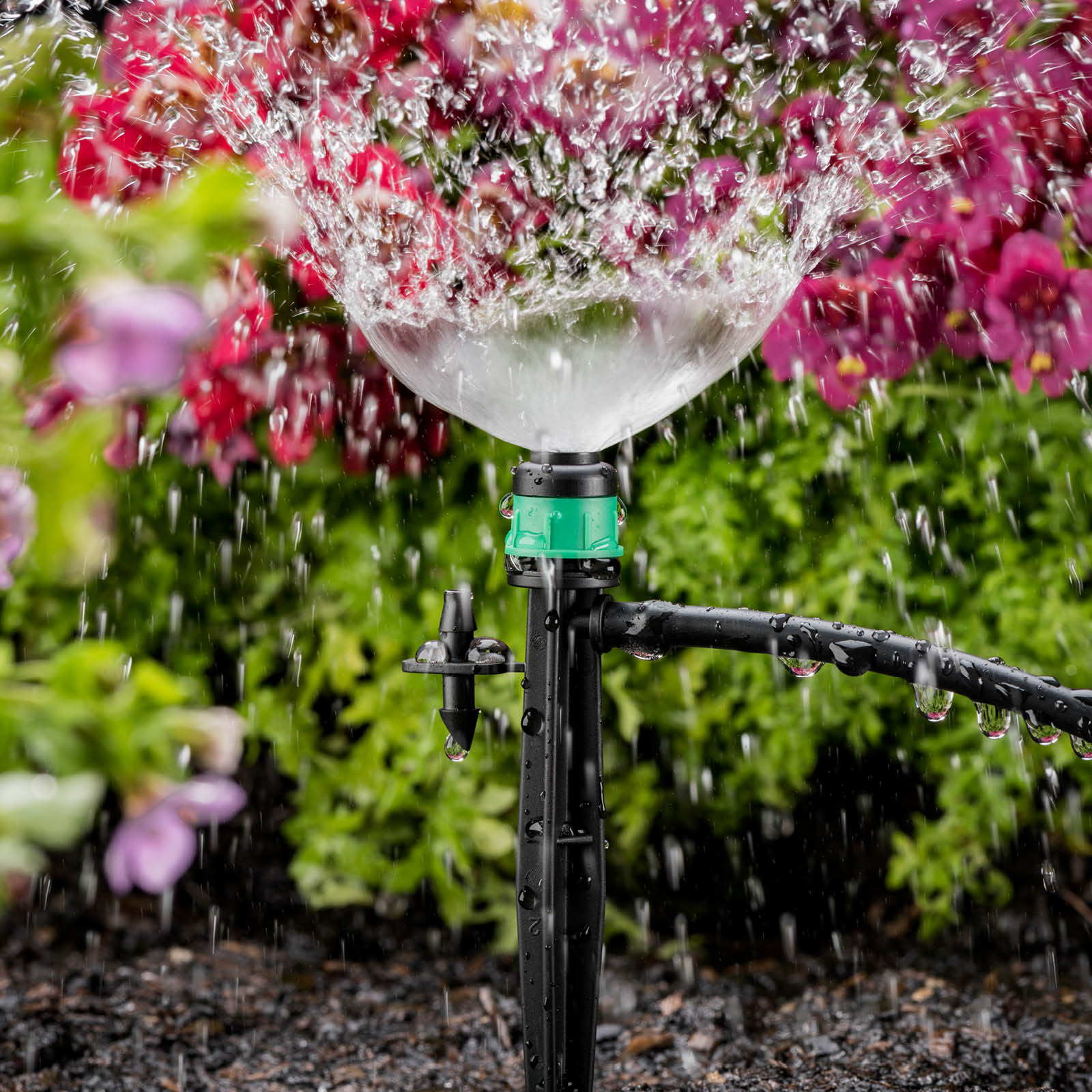 Vortex Spray on Stake – Gardening with Pope