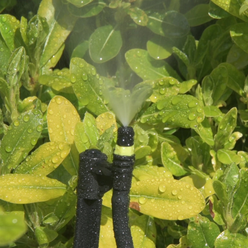 MicroJet® Mist Spray