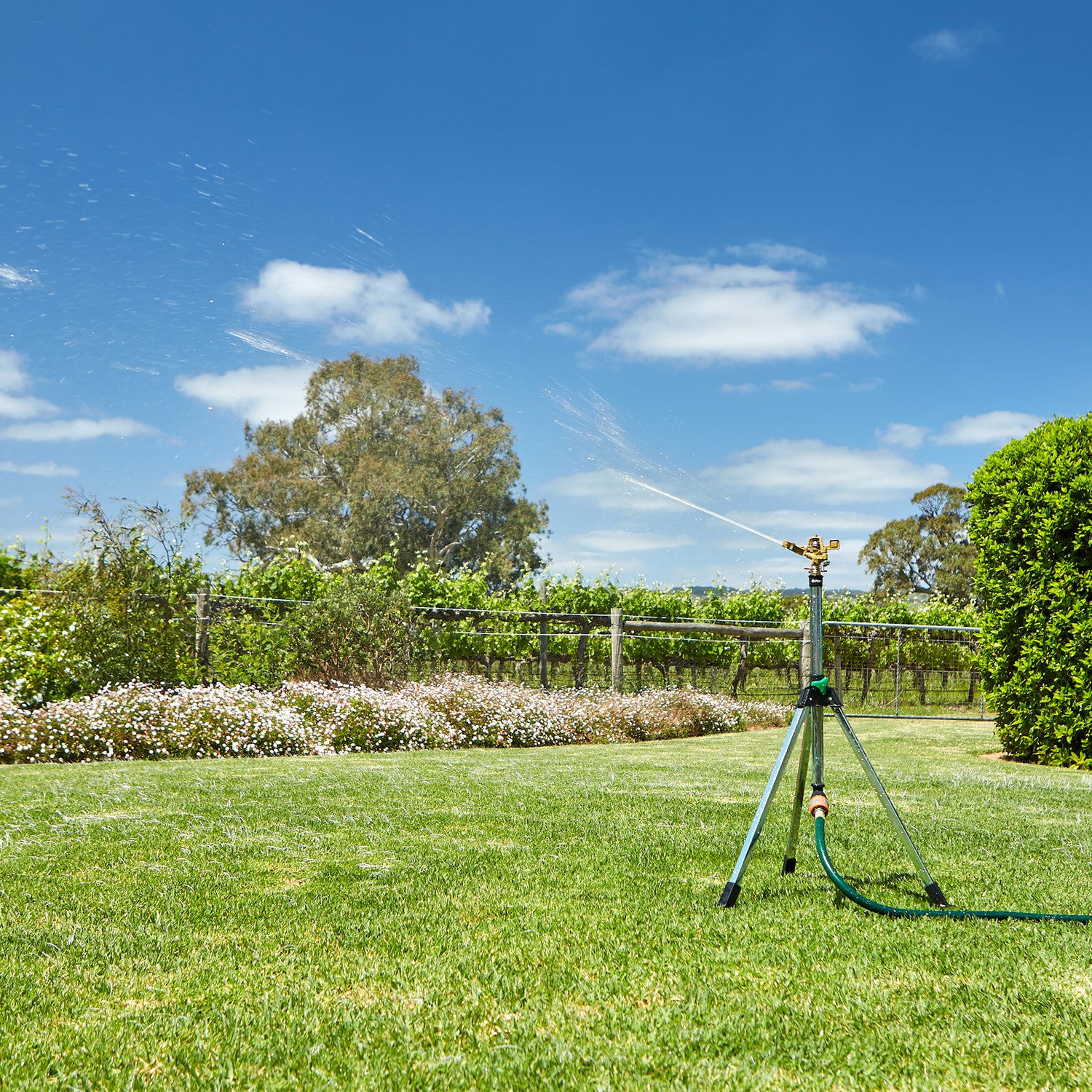 Rain Tower Sprinkler