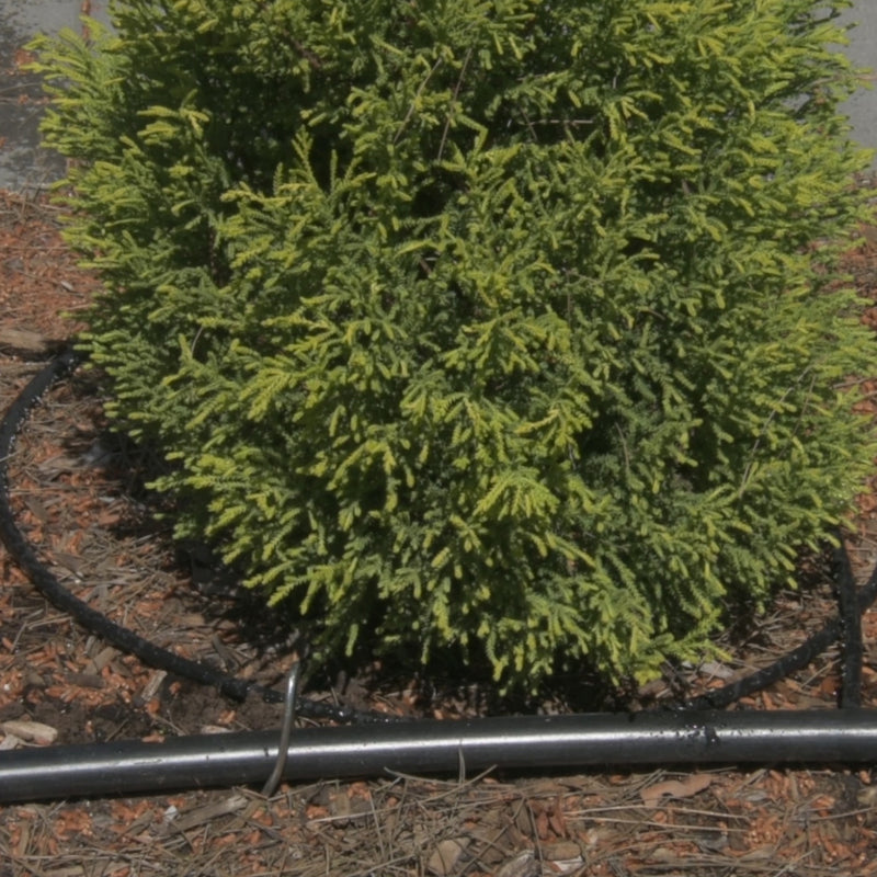 15m Micro Water Weeper®