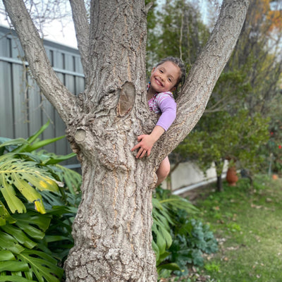 Backyard memory