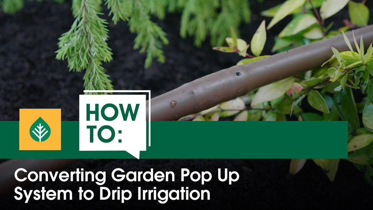 Converting your pop ups to drip irrigation