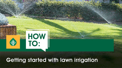 Getting started with lawn irrigation