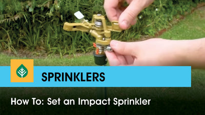 How to set an impact sprinkler