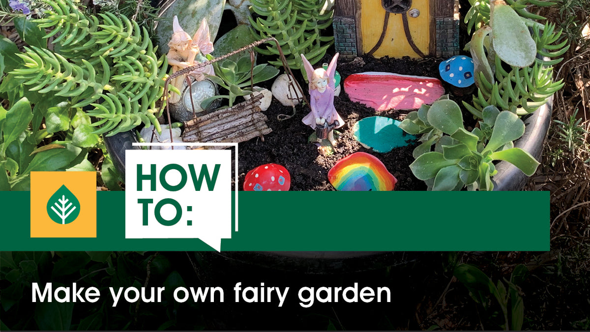 Make your own fairy garden