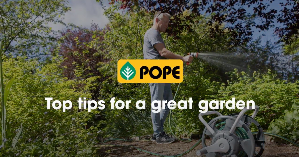 Top tips for a great garden