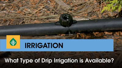 Types of drip irrigation