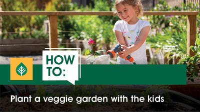 What to plant