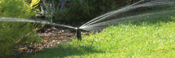 Lawn care and watering systems