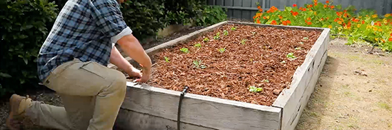 Gardening tips for your home project