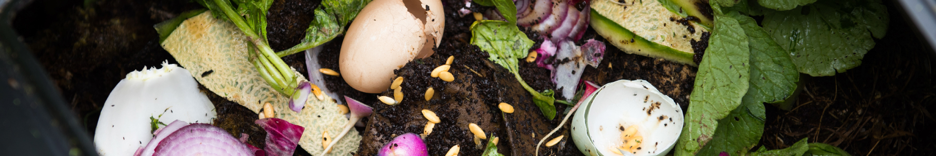 <p>A beginners guide on how to make compost at home</p>
