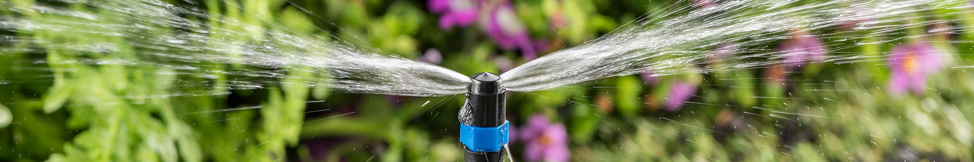 <p>Everything you need to know about drip irrigation systems</p>
