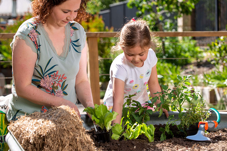 How to start gardening with your kids
