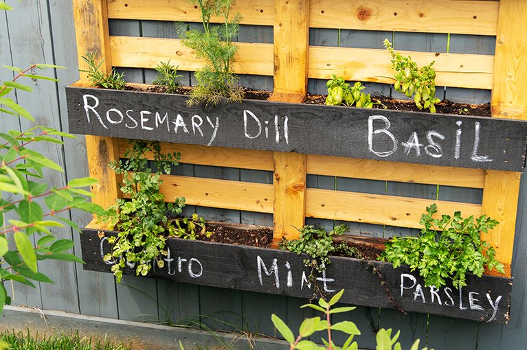 Ideas for planting your DIY vertical wall garden