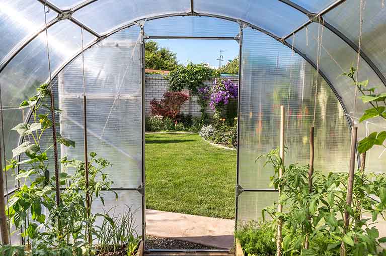 5 steps to set up your DIY greenhouse