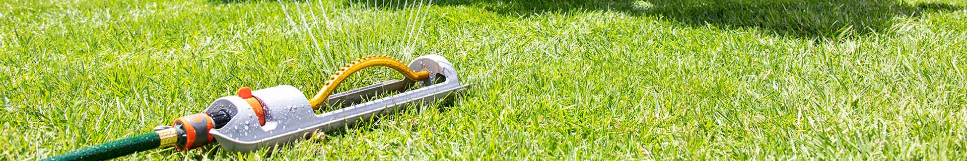 <p>Our 5 favourite sprinklers for summer</p>
