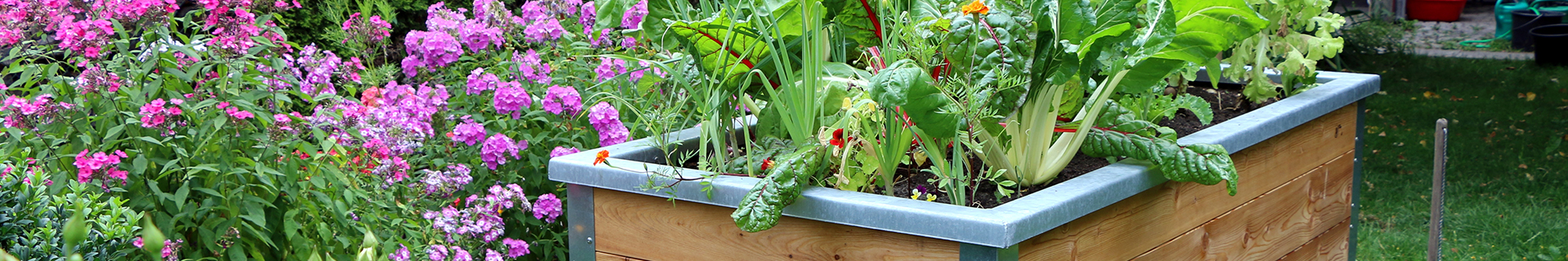 <p>How to make your own wicking beds</p>
