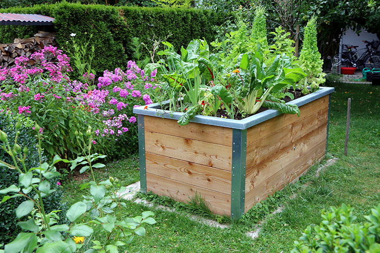 How to make your own wicking beds
