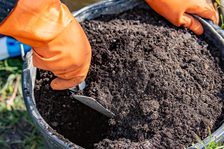 How to choose the right potting mix