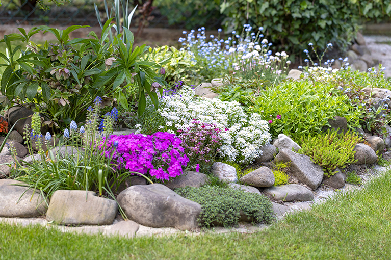 Make a garden feature with ground cover plants