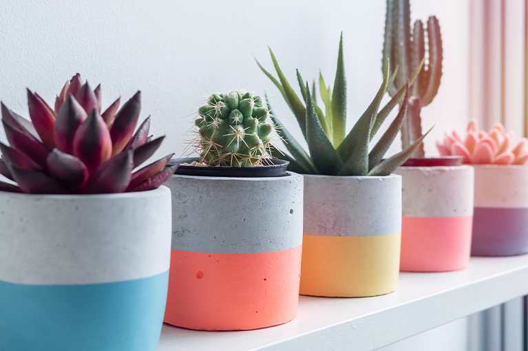 How to Choose the Best Colour Pots for Your Plants