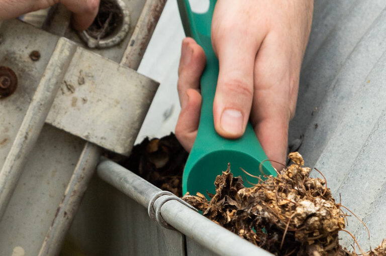 Your Autumn Garden Checklist to Prepare Now for Winter